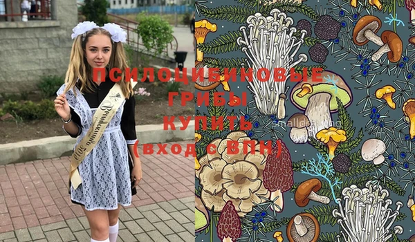 Альфа ПВП Абдулино