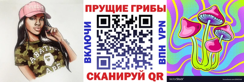 Псилоцибиновые грибы ЛСД  omg ССЫЛКА  Старый Крым 